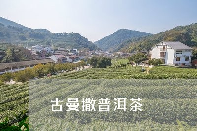 古曼撒普洱茶/2023042908971