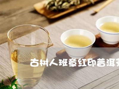 古树人班章红印普洱茶/2023092628270