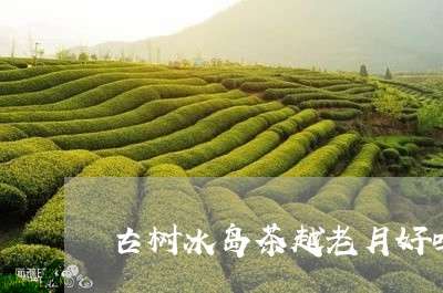 古树冰岛茶越老月好吗/2023092340524