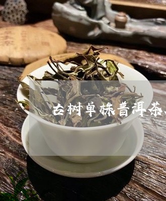 古树单株普洱茶凤茗红/2023092751813