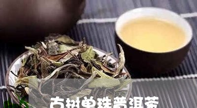 古树单珠普洱茶/2023101678382