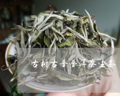 古树古普普洱茶生茶/2023120493059