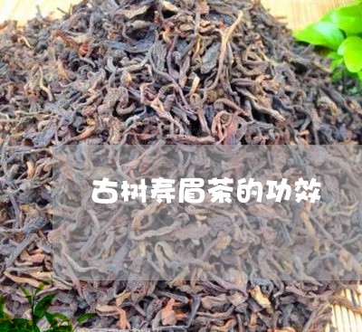 古树寿眉茶的功效/2023090847583