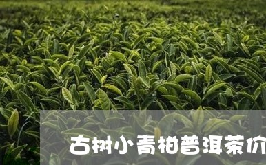 古树小青柑普洱茶价位/2023061771607