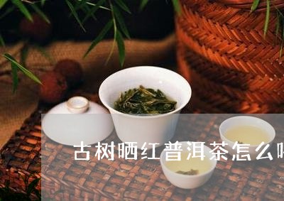 古树晒红普洱茶怎么喝/2023092783025