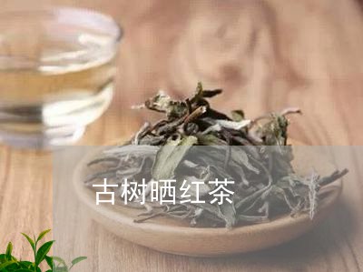 古树晒红茶/2023090240415