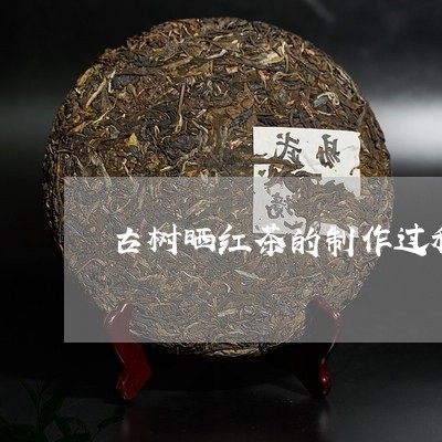 古树晒红茶的制作过程/2023092137381