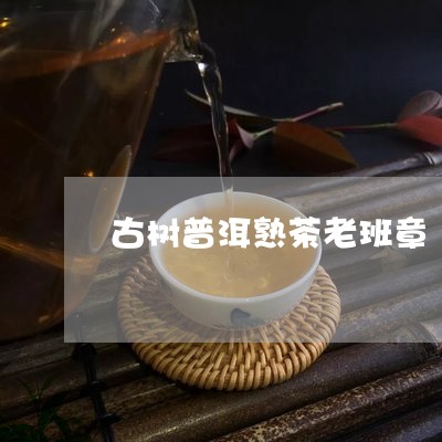 古树普洱熟茶老班章/2023042783127