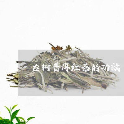 古树普洱红茶的功效/2023042841603