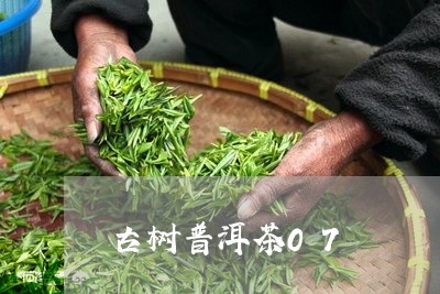 古树普洱茶07/2023102634971