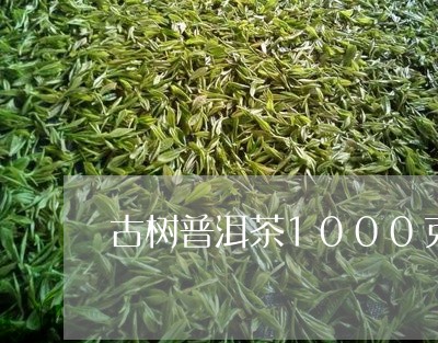 古树普洱茶1000克/2023062732716