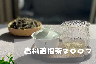 古树普洱茶2007/2023070830625