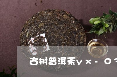 古树普洱茶yx-03/2023062392614