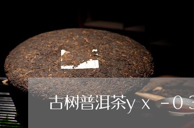 古树普洱茶yx-03/2023073036161