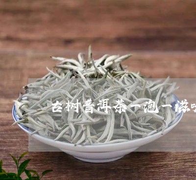 古树普洱茶一泡一滋味/2023072196058