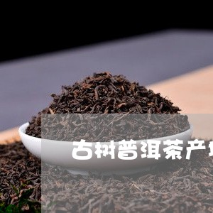 古树普洱茶产地在哪个省份/2023110296269