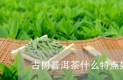 古树普洱茶什么特点好喝/2023081665148