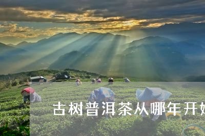 古树普洱茶从哪年开始/2023092750703