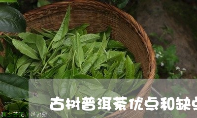 古树普洱茶优点和缺点/2023062142594