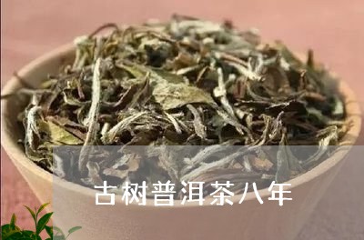 古树普洱茶八年/2023102669694