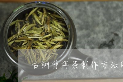 古树普洱茶制作方法图/2023062937481