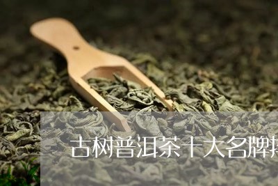 古树普洱茶十大名牌排名表/2023110590681