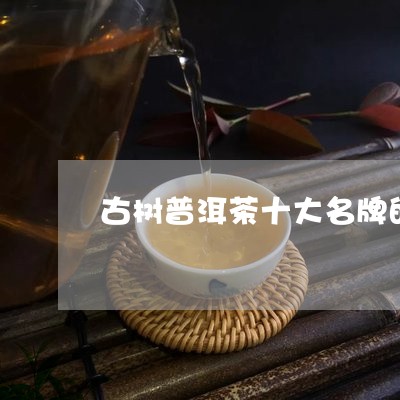 古树普洱茶十大名牌的/2023120646947