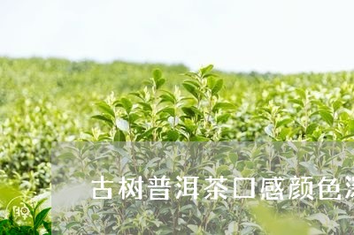 古树普洱茶口感颜色深吗/2023102430705