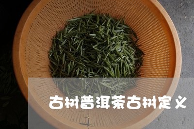 古树普洱茶古树定义/2023091590795