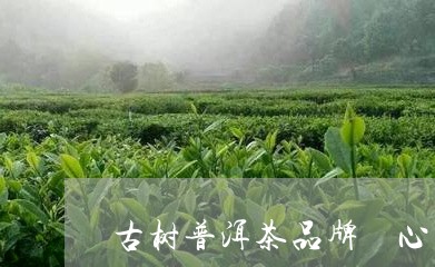 古树普洱茶品牌無心軒/2023093042693