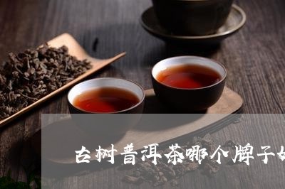 古树普洱茶哪个牌子好一点/2023110541594