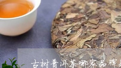 古树普洱茶哪家品牌好/2023082938373