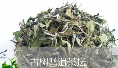 古树普洱茶坛/2023112669683