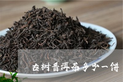 古树普洱茶多少一饼/2023071085848