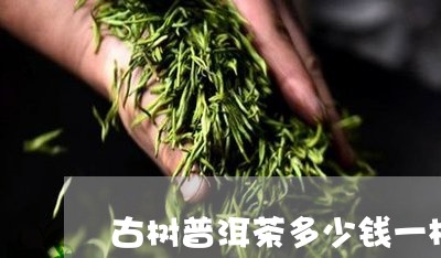 古树普洱茶多少钱一杯/2023092575161