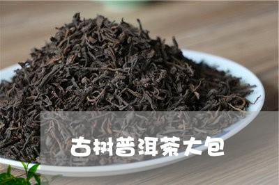 古树普洱茶大包/2023081524038