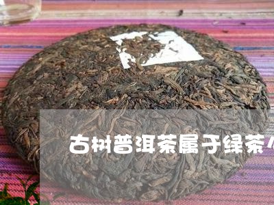 古树普洱茶属于绿茶么/2023073128482