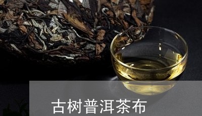 古树普洱茶布/2023042552