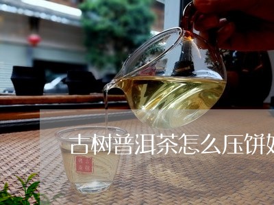 古树普洱茶怎么压饼好看/2023121593717