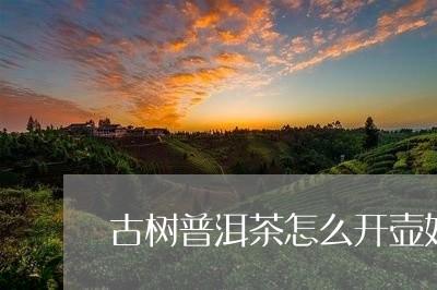 古树普洱茶怎么开壶好/2023082936270