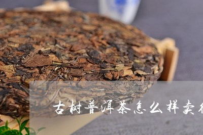 古树普洱茶怎么样卖得好/2023103103036