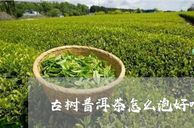 古树普洱茶怎么泡好喝/2023062289282