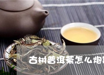 古树普洱茶怎么炮制才好喝/2023082959491