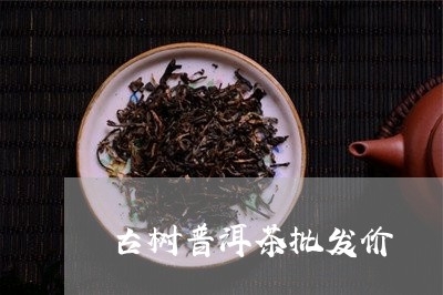 古树普洱茶批发价/2023082948692