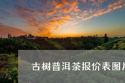 古树普洱茶报价表图片高清/2023112508170