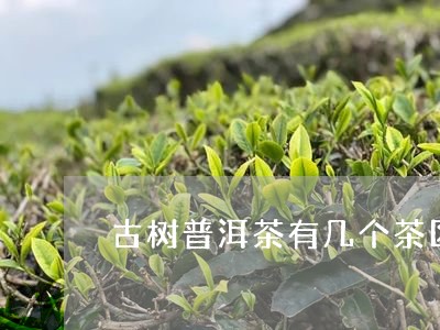 古树普洱茶有几个茶区/2023073027365