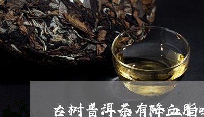 古树普洱茶有降血脂吗/2023061665059