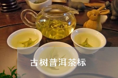 古树普洱茶标/2023042663914