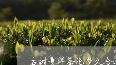 古树普洱茶泡多久合适呢/2023050566270