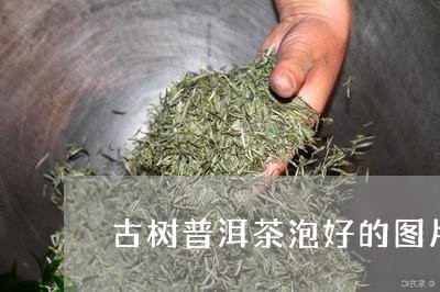 古树普洱茶泡好的图片/2023061612825